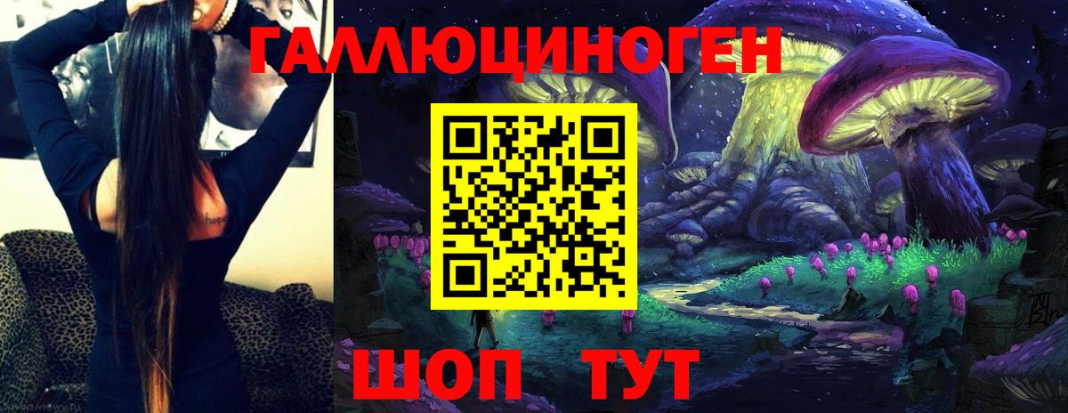 Галлюциногенные грибы GOLDEN TEACHER  Галлюциногенные грибы Psilocybine cubensis  Вход с VPN  Домодедово 