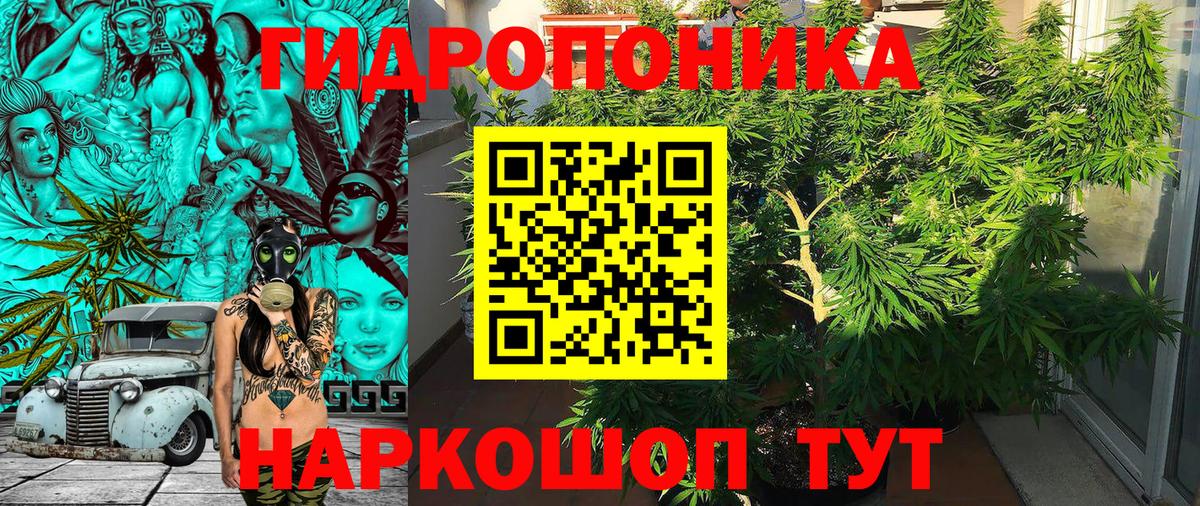 Шишки марихуана Ganja  МАРИХУАНА планчик  Шишки марихуана LSD WEED  Бошки Шишки конопля  Домодедово  Вход с VPN 